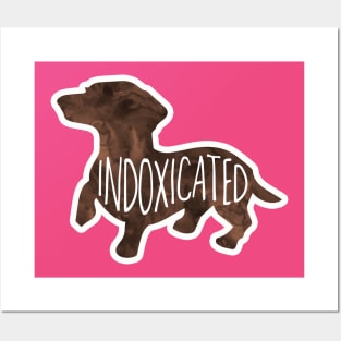 Indoxicated - Dachshund, doxie, funny saying Posters and Art